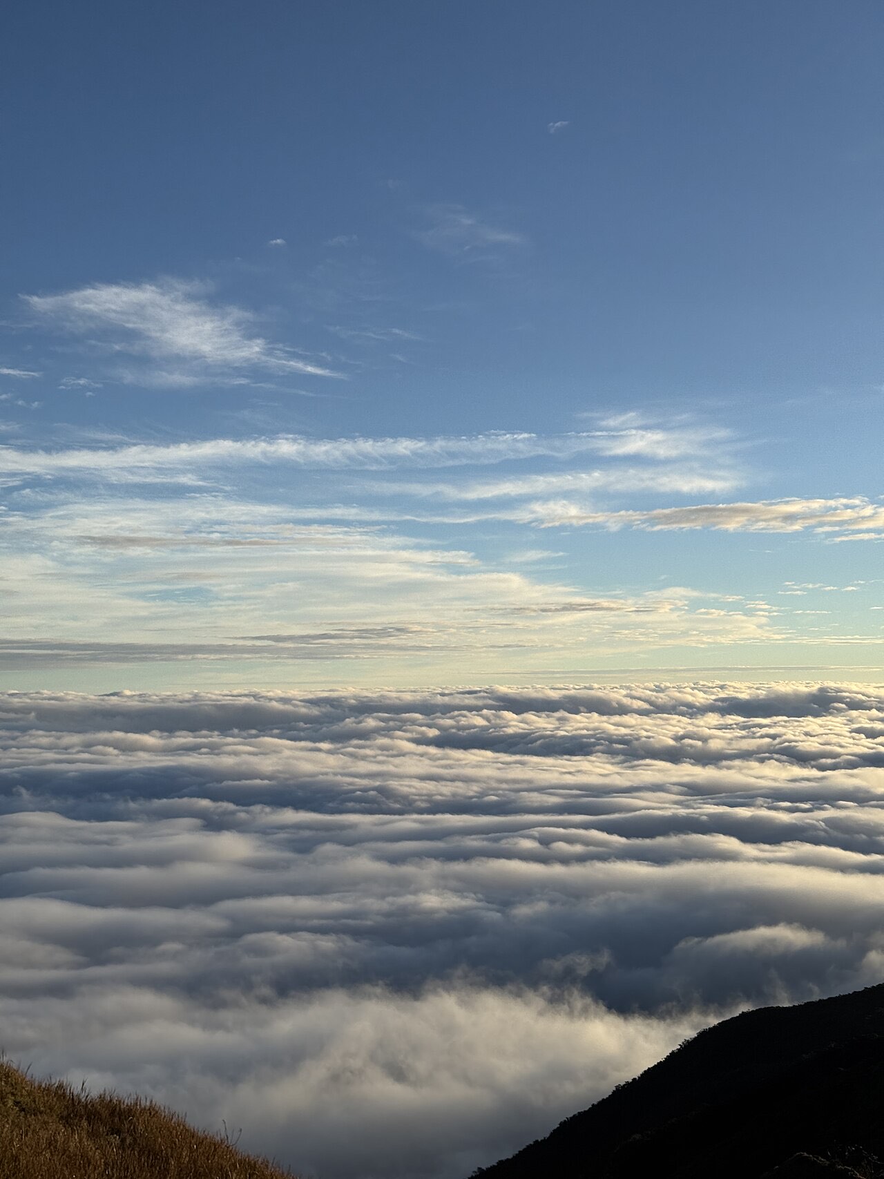 A layer of cloud seen from above at a mountain summit, stretching to a pale horizon under a soft blue sky.
